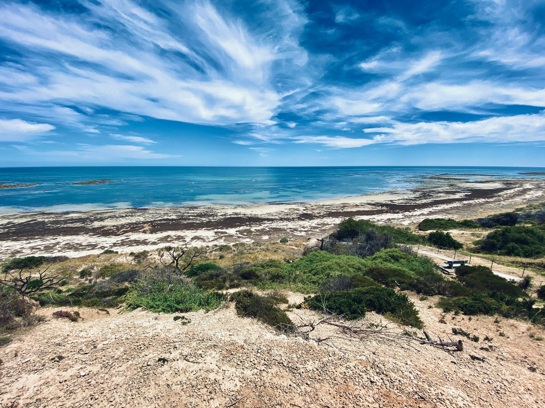 Where to Buy a Quality Wetsuit in Melbourne (2026 Guide) - Flatrock Surf